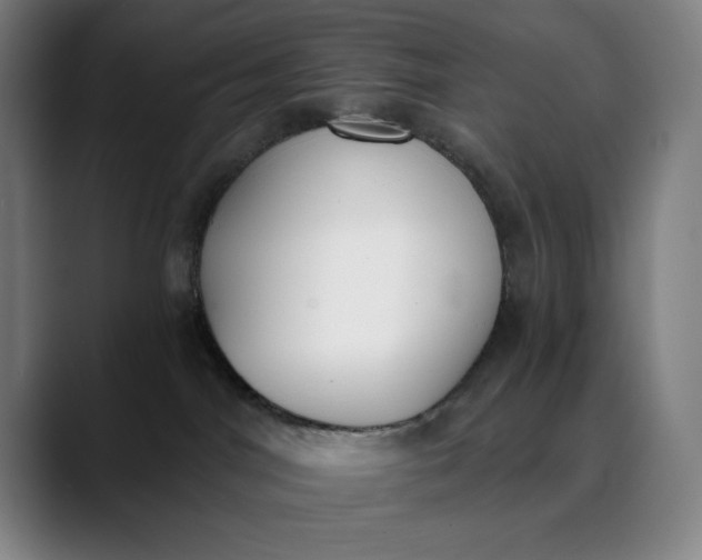 X0000089830044200707121649