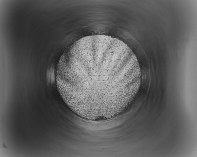 X0000089830046200707121649