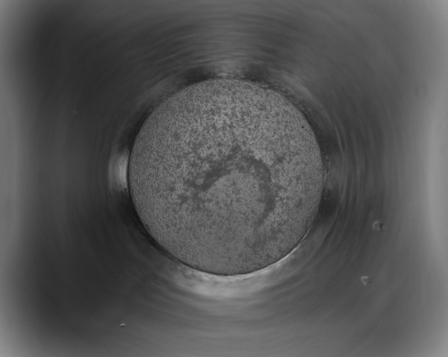 X0000089830047200707121649