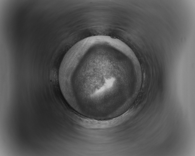 X0000089830048200707121649