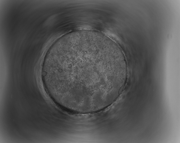 X0000089830049200707121648