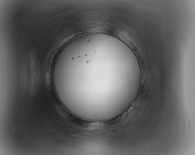 X0000089830050200707121648