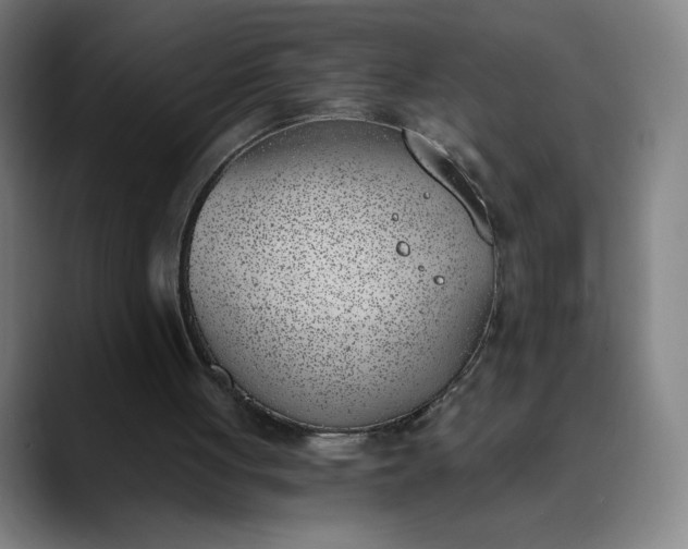 X0000089830051200707121648