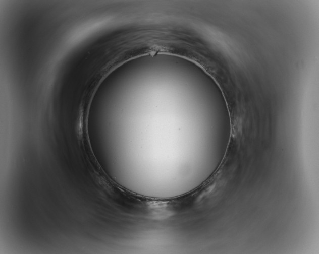 X0000089830052200707121648