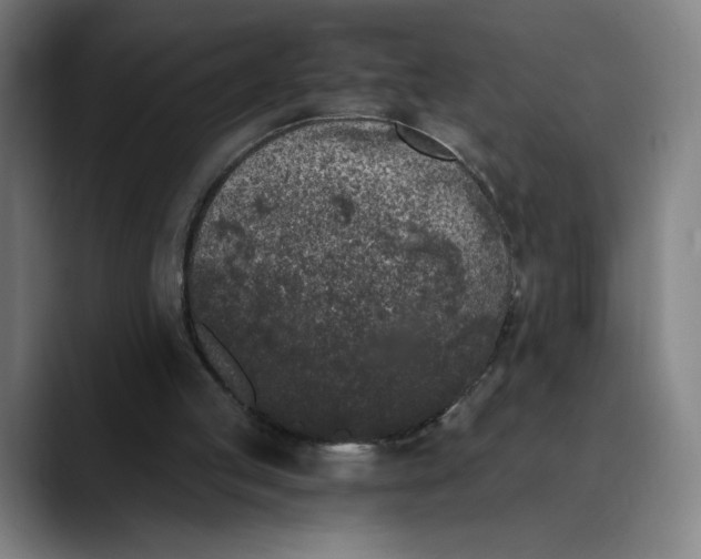 X0000089830053200707121648