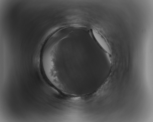 X0000089830054200707121648