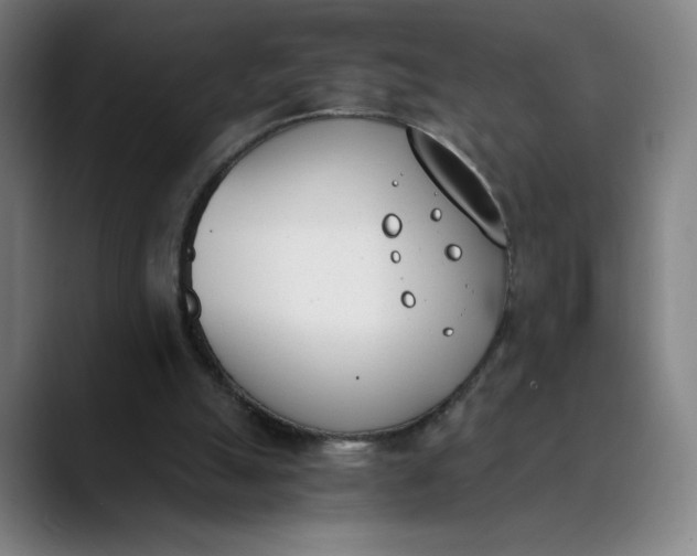 X0000089830055200707121648