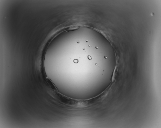 X0000089830056200707121648