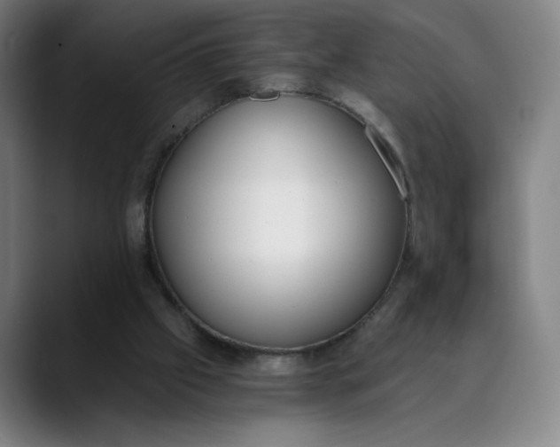 X0000089830057200707121648