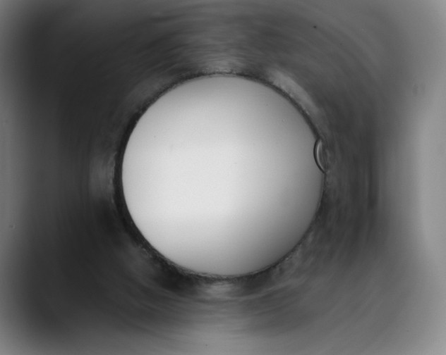 X0000089830058200707121648