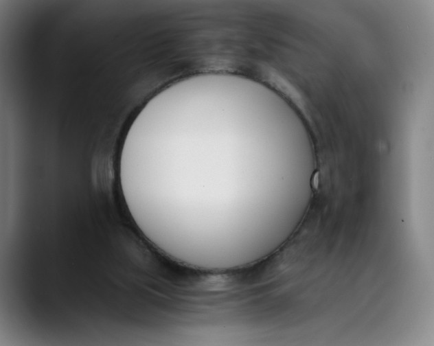 X0000089830059200707121648