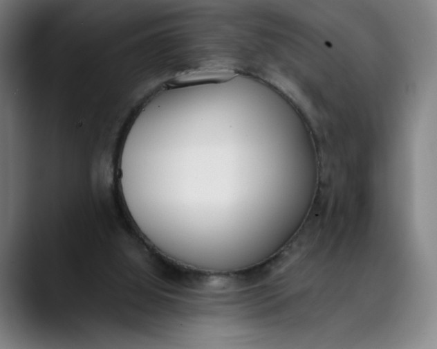 X0000089830060200707121648