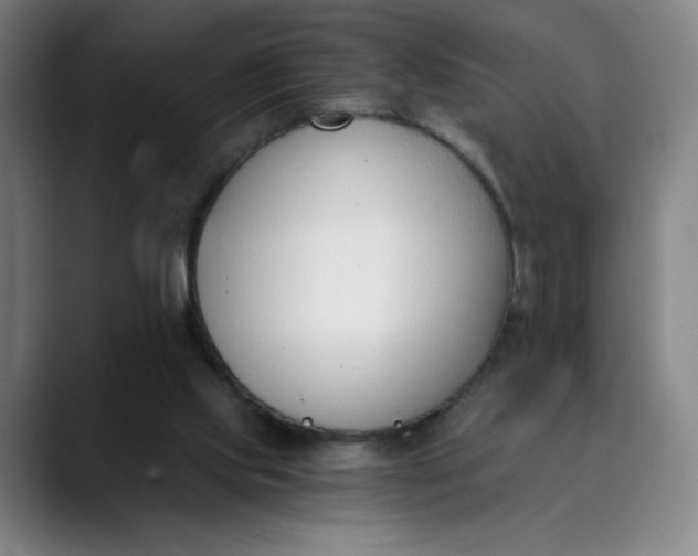 X0000089830061200707121648