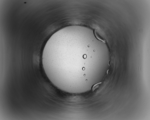 X0000089830063200707121648