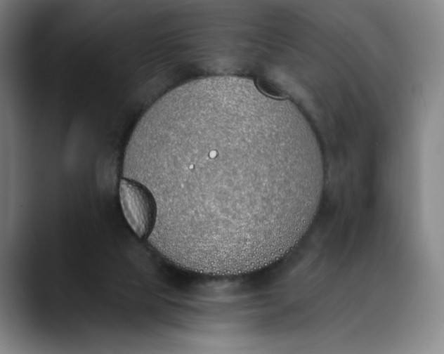 X0000089830065200707121648