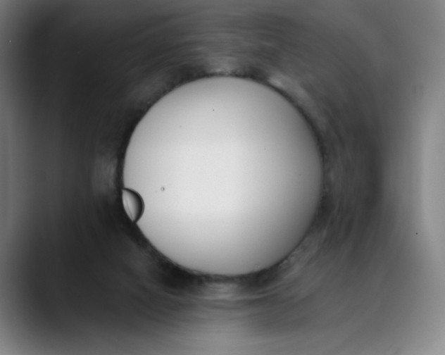 X0000089830066200707121648