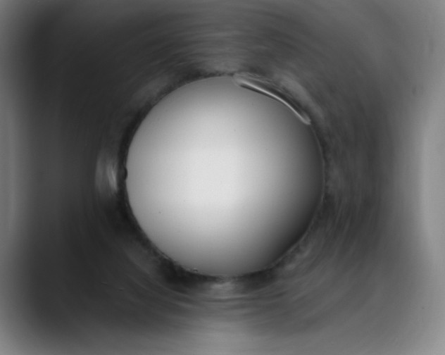 X0000089830068200707121648