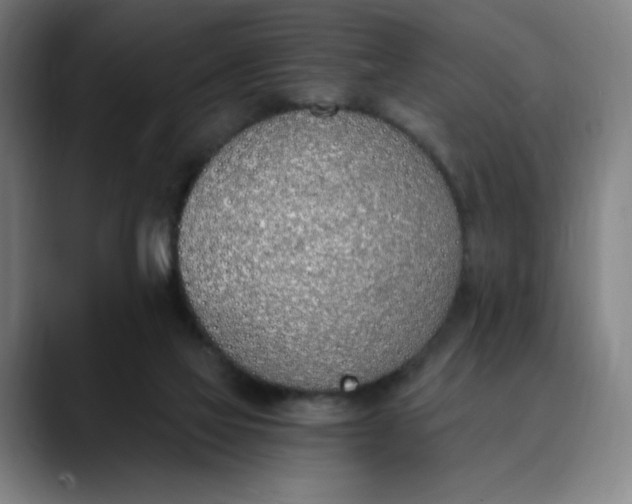 X0000089830069200707121648