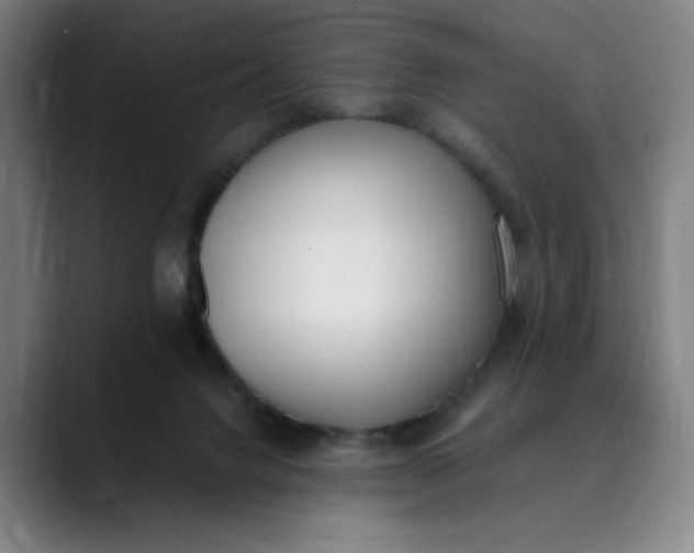 X0000089830072200707121648