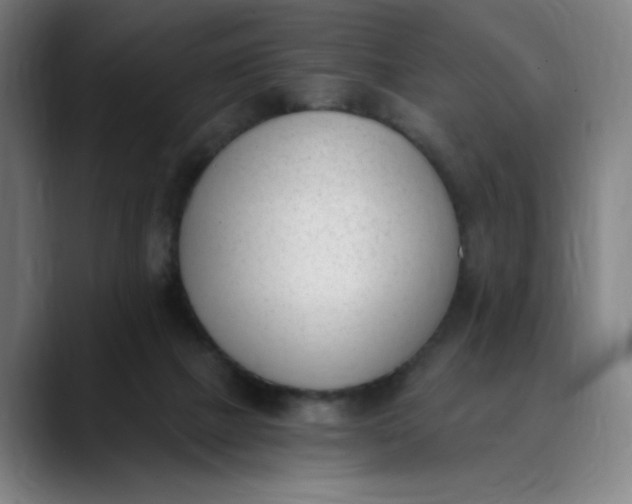 X0000089830073200707121648