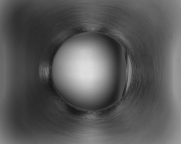 X0000089830076200707121648