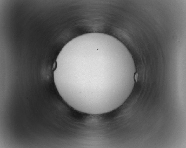 X0000089830077200707121648