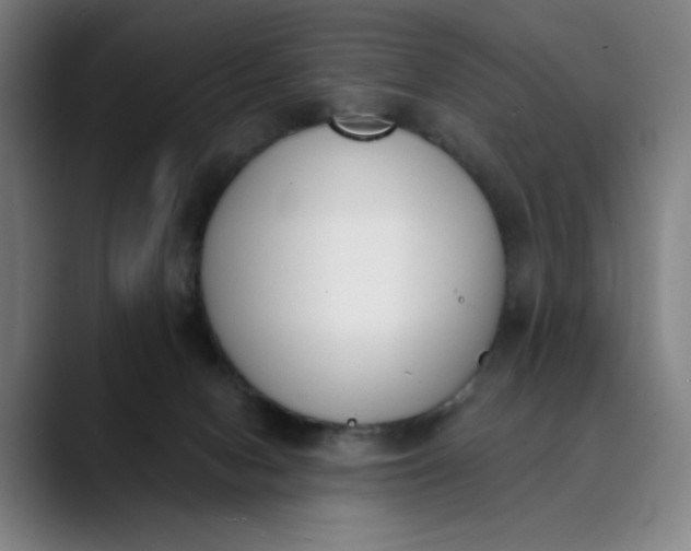 X0000089830078200707121648