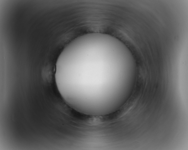 X0000089830080200707121648