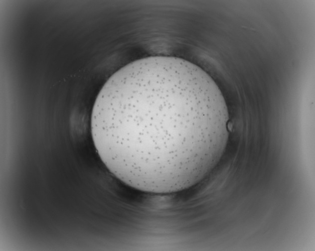 X0000089830081200707121648