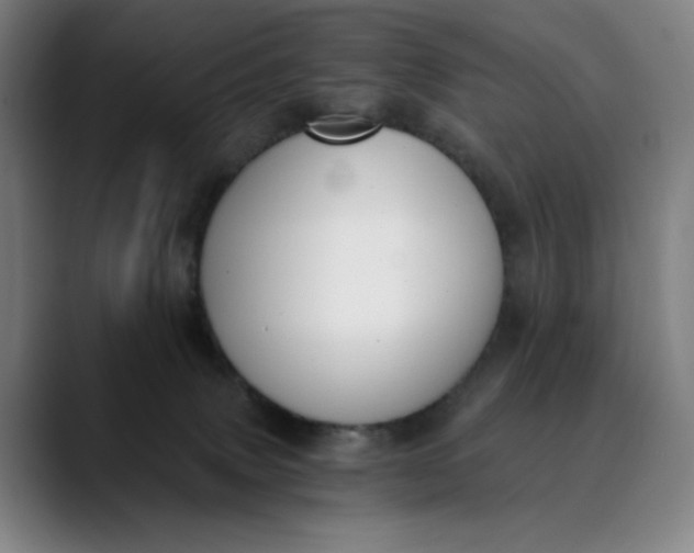 X0000089830083200707121648