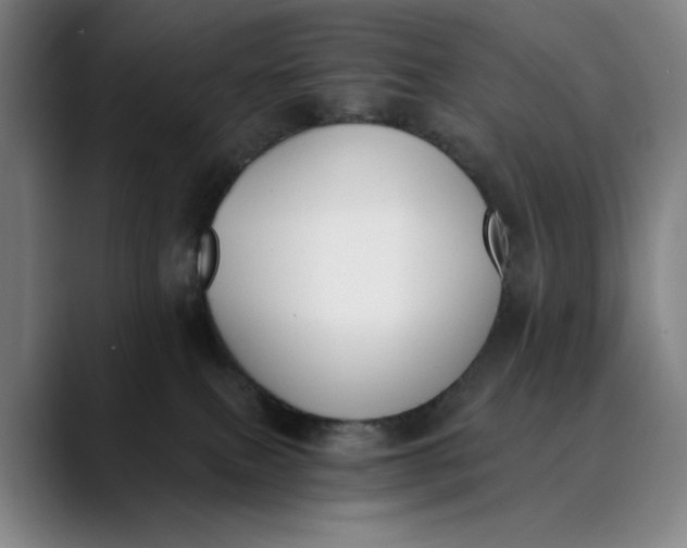 X0000089830087200707121648