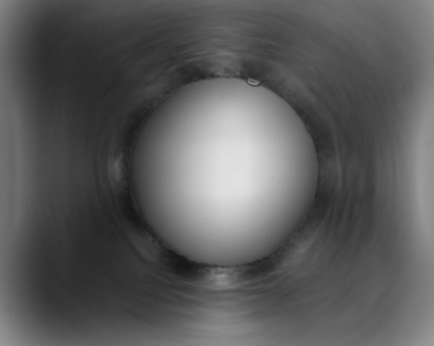 X0000089830088200707121648