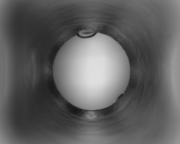 X0000089830091200707121648