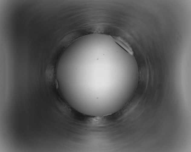 X0000089830092200707121649