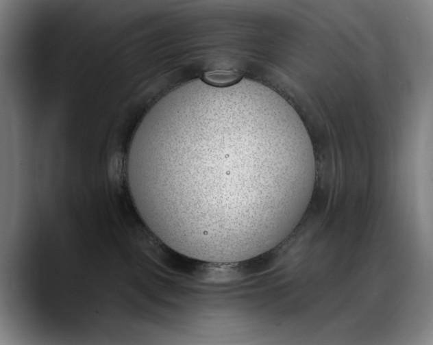 X0000089830093200707121649