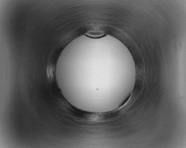 X0000089830094200707121649