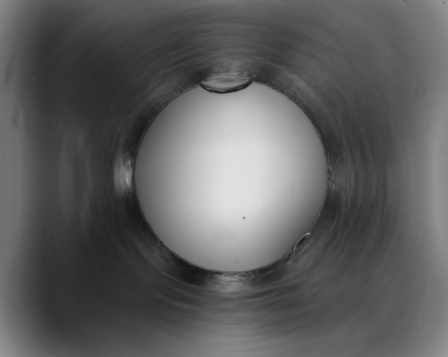 X0000089830095200707121649