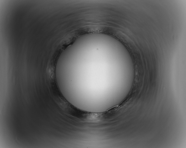 X0000089830096200707121649