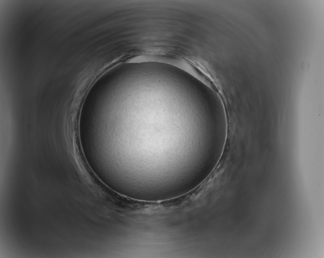 X0000089830097200707121648