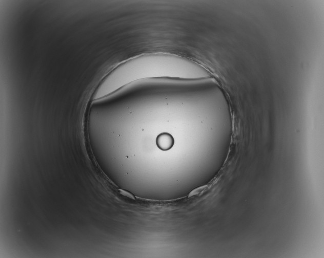 X0000089830099200707121648