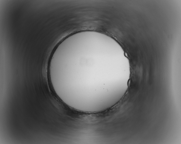 X0000089830100200707121648