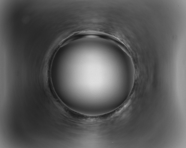 X0000089830101200707121648