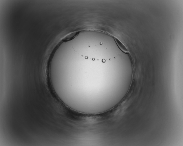 X0000089830103200707121648