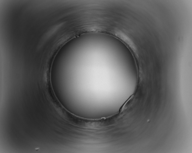 X0000089830105200707121648