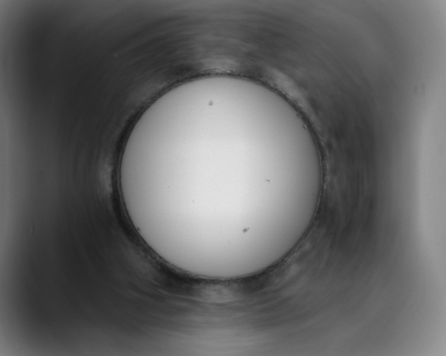 X0000089830106200707121648