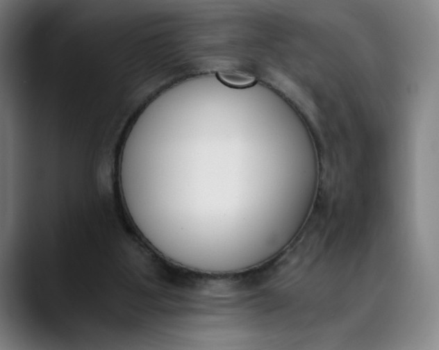 X0000089830107200707121648