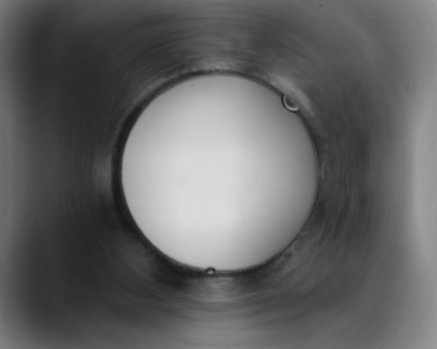 X0000089830108200707121648