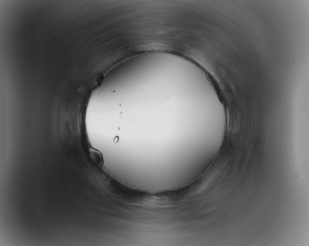 X0000089830109200707121648