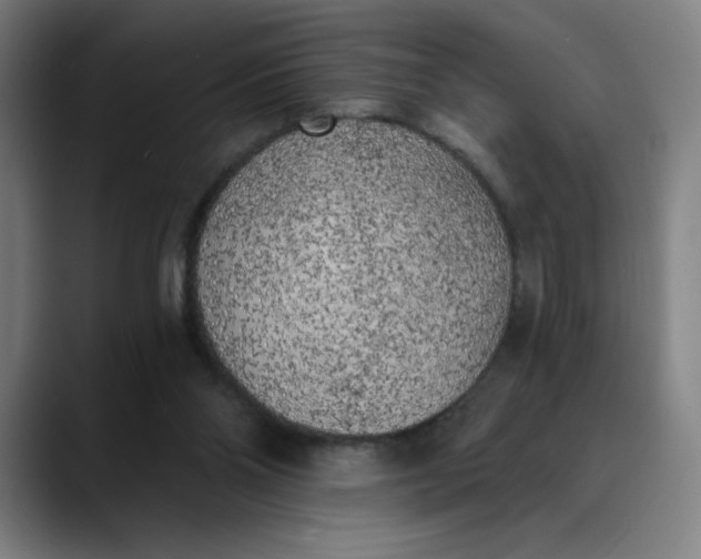 X0000089830110200707121648