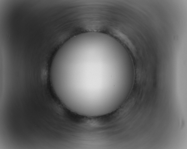 X0000089830113200707121648